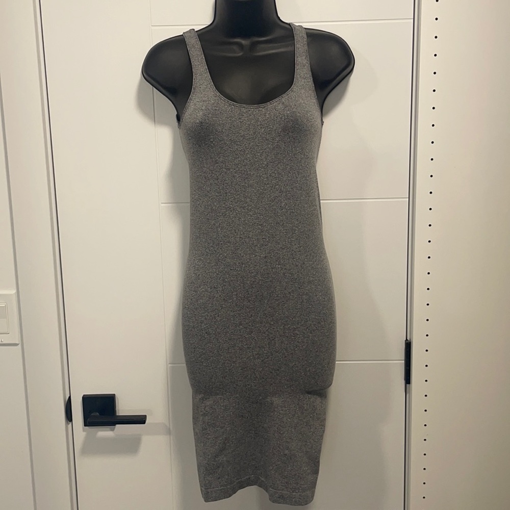 Babaton bodycon dress
